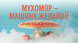 Мухомор как машина желаний. Скоро: курс по позитивной трансформации личности