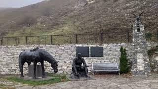 Лженаследница Зелимхана Харачоевского  Кошка Чечня БлоХер