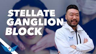 Stellate Ganglion Block: A Reset of the Fight-or-Flight Response