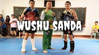 Wushu Sanda Sparring|| Team Guindulman