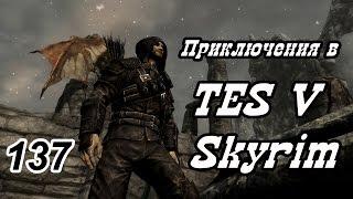 Приключения в TES: Skyrim #137 [Разделенное ущелье]