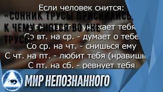 «Сонник Трусы приснились, к чему снятся во сне Трусы»