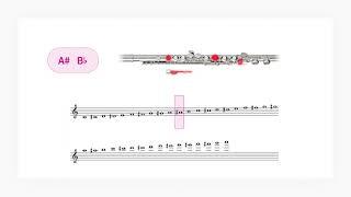 Flute Fingering Chart – Interactive tool by Tomplay