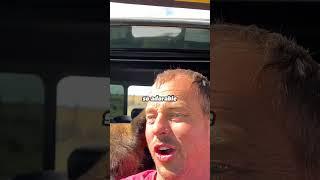 Fighting A Protection Dog | Driving Across USA on Dirt Roads #automobile #roadtrips #funny