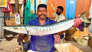 KASIMEDU  SPEED SELVAM | BIG SHEELA FISH CUTTING VIDEO | IN KASIMEDU | FF CUTTING 