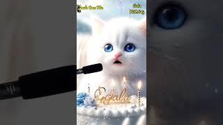 GALA BIRTHDAY | HAPPY BIRTHDAY SONG WITH NAMES | Adorable Cute Cat  #cat #cute #happybirthday