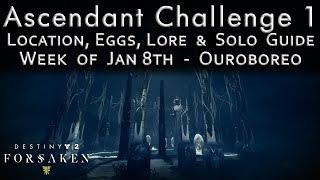 Ascendant Challenge 1 - Jan 8th - Ouroborea - Corrupted Eggs, Lore, and Portal Location