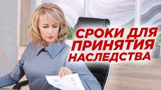 Сроки принятия наследства по закону или по завещанию. Адвокат Елена Бойцова о наследовании имущества
