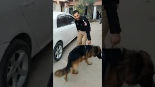 #police#youtubeshorts#commando#elite#viral#ats#100k#stylish#kpk#shorts#youtubechannel#veiws#short