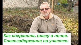 Как сохранить влагу в почве.  Снегозадержание на участке. 