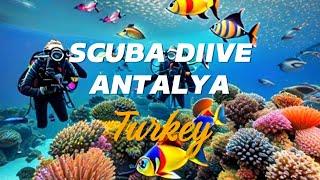 Scuba Diving in mediterranean sea Antalya, Türkiye. ocean #scubadiving #antalya #turkey