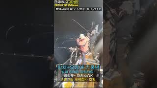 한치 오징어낚시 난리났네~난리났어~씨알부터 마리수 쿨러가득~6월 7일 새벽철수 통영 고고피싱 조황 (피딩타임-2) 8일 예약