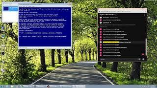 honeybear rey gwen tisaKOREAN quannnic ROBLOX MUSIC VIDEO Has BSOD VM #2