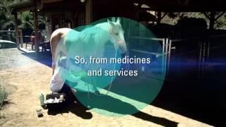 MERCK ANIMAL HEALTH | THE SCIENCE OF HEALTHIER ANIMALS