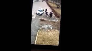 бабораб vs. не бабораб police women arresting in Europe