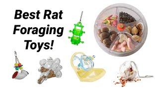 Top 5 Rat Foraging Toys (for the Cage)