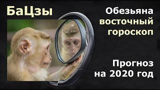 БАЦЗЫ. Прогноз на каждый месяц на 2020 год для людей, рожденных в год обезьяны