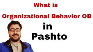 What is Organizational Behavior OB in Pashto?