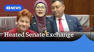 Fatima Payman accuses Pauline Hanson of racism in heated exchange | ABC News