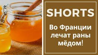 Во Франции давно уже лечат раны медом #shorts