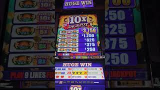 10 x Jackpot | Wild Seas $2.50 bet
