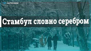 За два дня в Стамбуле выпало больше 30 см снега