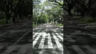 UPD Acad Oval Snippet