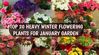 TOP 20 HEAVY WINTER FLOWERING PLANTS FOR JANUARY GARDEN | TOP WINTER FLOWERS 