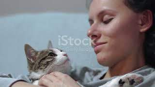 Purrfect Love  A Cat's Tale 2025