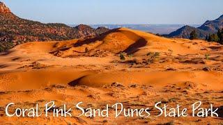 Coral Pink Sand Dunes State Park, Utah