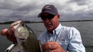 How to Catch Schooling Bass