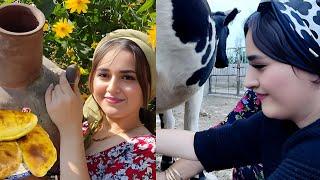 Nomadic Lifestyle in Iran’s Villages: Milking Cows & Making Cottage Cheese, Butter, and FlatBread