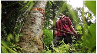 Shwood for Pendleton || Cascadian Collaborative