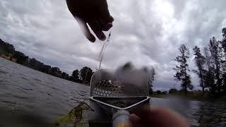 Detecting Old lake Summer Australia