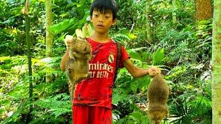 Bac's survival skills, the technique of catching bamboo rats in the forest, forest banana harvest.