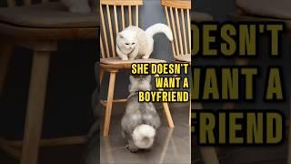 STOP Trying to Find Love the Wrong Way!