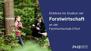 Einblicke ins Studium der Forstwirtschaft