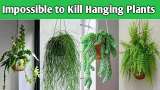 17 Impossible to Kill Indoor Hanging Plants  | Indoor Hanging Basket Plants | Plant and Planting