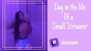 A Day In The Life Of A Small Streamer | aloemami