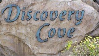 Discovery Cove in Orlando, Florida - Discovery cove discount tickets - Discovery cove promo code