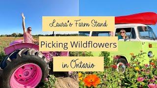 Picking Wildflowers at Laura's Farm Stand