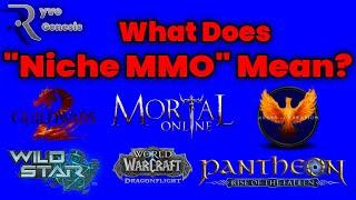 What does "Niche MMO" mean?