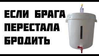 Если брага не добродила