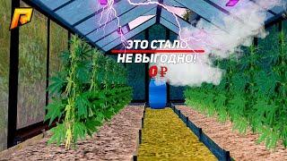 ЧТО СТАЛО с ОГОРОДАМИ? ПОСАДИЛ ЗАПРЕЩЕНКУ на РАДМИР КРМП? RADMIR CRMP!