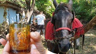 Am găsit o cana foarte veche! Ziua 5 la căsuța din pădure.