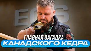 Все о вагонке из канадского кедра (мнение производителя)