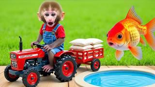 Monkey Nana drives a tractor loaded with food sacks and encounters a brick wall on the village road