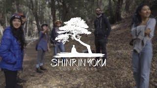 The Lore Co. & Shinrin Yoku LA: Forest Therapy with Ben Page