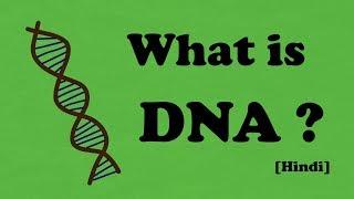 What is DNA ? [Hindi ]