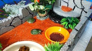 Cara membuat Kolam kura kura dari bahan Styrofoam berukuran 30×40 cm